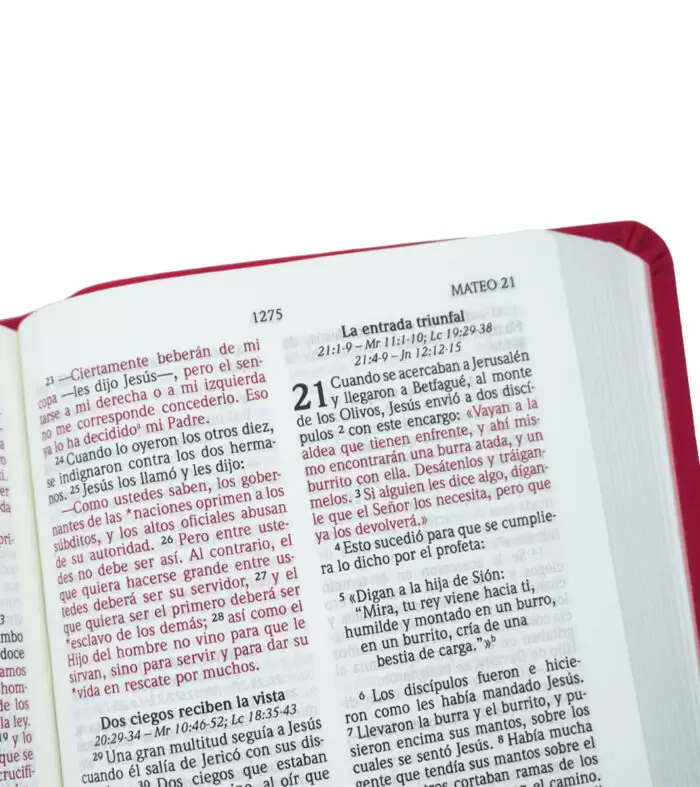 BIBLIA-NVI-ULTRAFINA-FUCSIA-LIBRERIA-3-700x787