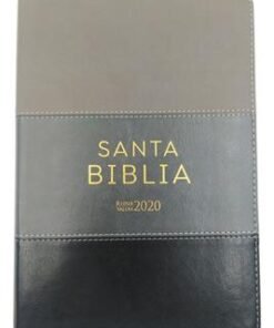 Biblia/RVR2020/Tamaño 074/Letra Grande/12 Puntos/Tricolor Gris Oscuro - Negro