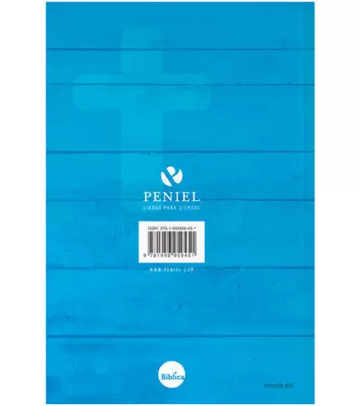 biblia-nvi-lg-22-azul_b-400x450