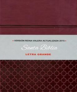 Biblia Letra Grande Reina Valera Actualizada