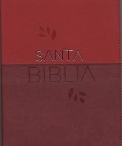 Biblia RVR086cZLGi/ Vino Tinto Cereza Cierre /Canto Blanco