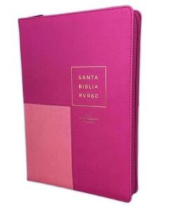 RVR60 095czti LSPG PJR rosa