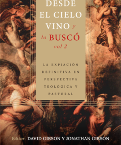 DESDE EL CIELO VINO, Y LA BUSCÓ - VOL. 2 - DAVID GIBSON, JONATHAN GIBSON
