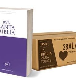 Caja De Biblias Misionera 28 A La Vez [Caja de Biblias] La Reina Valera Revisada