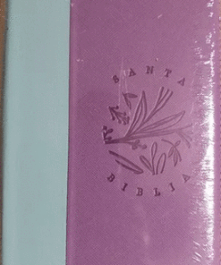 SANTA BIBLIA REINA VALERA 1960 COLOR MORADO VERDE CANTO PINTADO AYUDAS