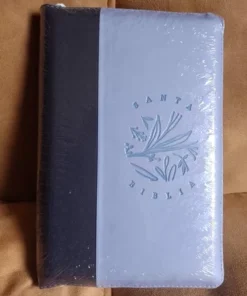 Biblia/RVR066ZLG/Azul Claro / Cierre Canto Pintado