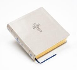 NTV Biblia QR Principios para Vivir - Arena