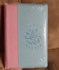 Biblia/RVR066ZLG/ Verde Rosado/ Cierre Canto Pintado