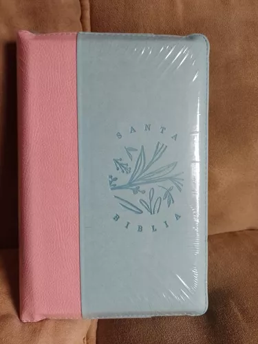 D_NQ_NP_689100-MCO76201011567_052024-O