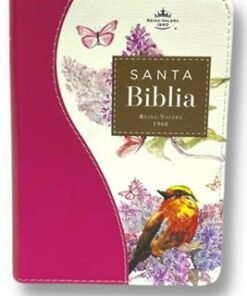 Biblia RVR60 025c CP PJR Renovación Fucsia