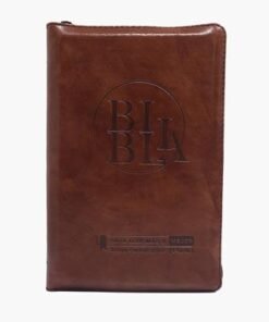 Biblia/RVR066ZLG/Café/ Cierre Canto Pintado Ayudas