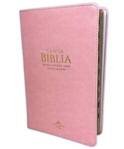 Biblia /RVR6065cti/ LG PJR Clásica Rosa Índice Canto Dorado