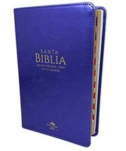 Biblia /RVR6065cti/ LG PJR Clásica Lila con Índice Canto Dorado