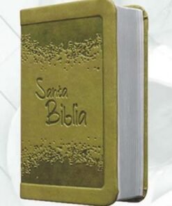 Biblia/RVR015/Verde/ Canto Plateado Sin Cierre