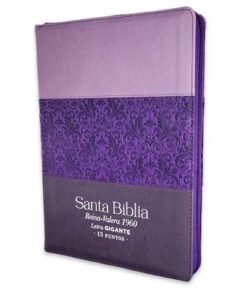 Biblia /RVR6085czti/ Letra Gigante PJR/ Tricolor Lila Morado Índice Cierre