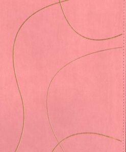 Biblia Diario Vivir Filament NTV Para Jóvenes/ Rosada Imitación Piel