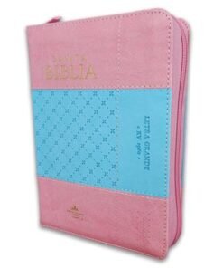 Biblia RV6035czti PJR i/ Cierre Índice / Rosa Azul